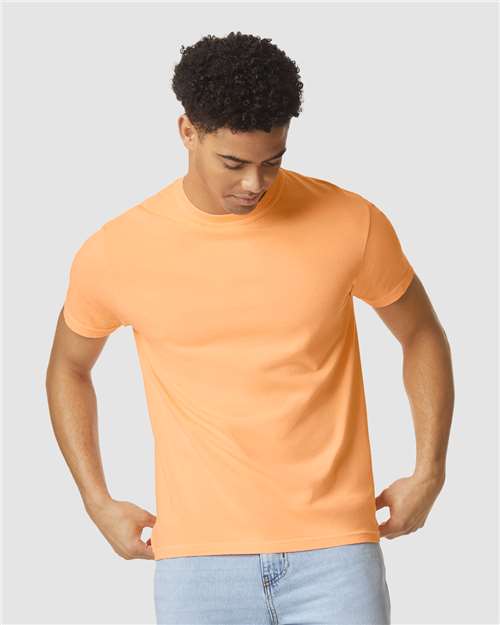 Comfort Colors - 1717