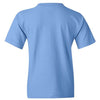 Carolina Blue